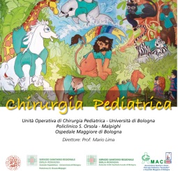 icona brochure S.Orsola