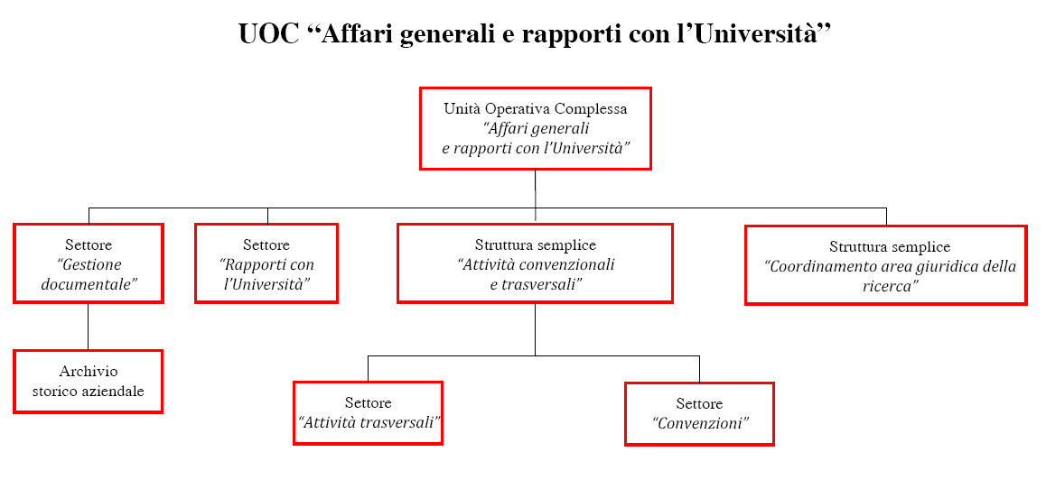 Organigramma della struttura