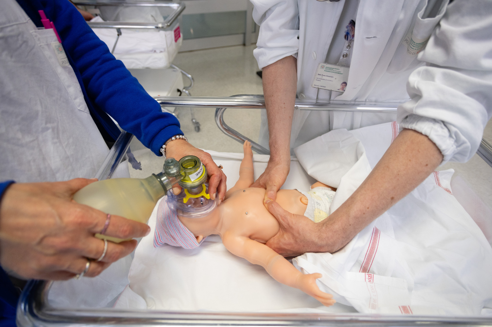 Attività di simulazione