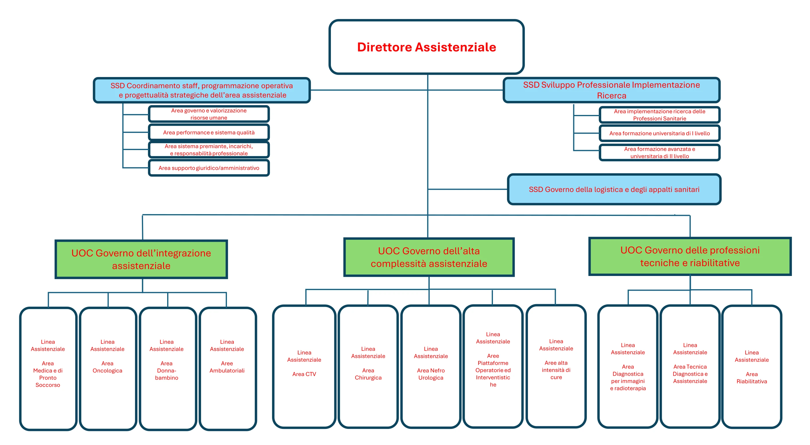 Organigramma della struttura